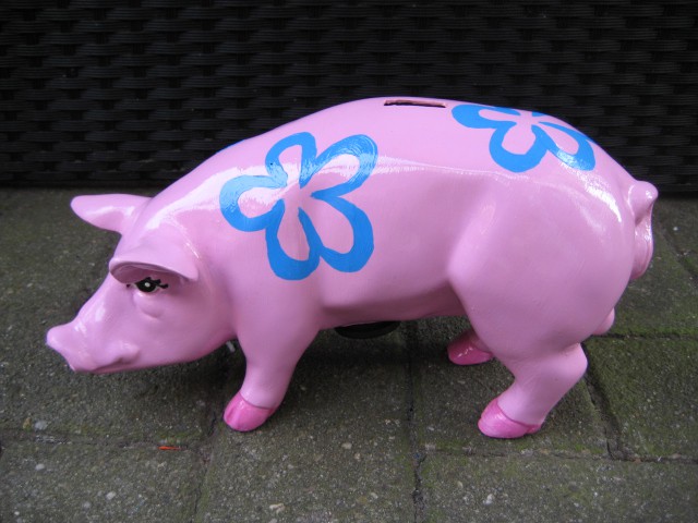 Mini-Schwein_689