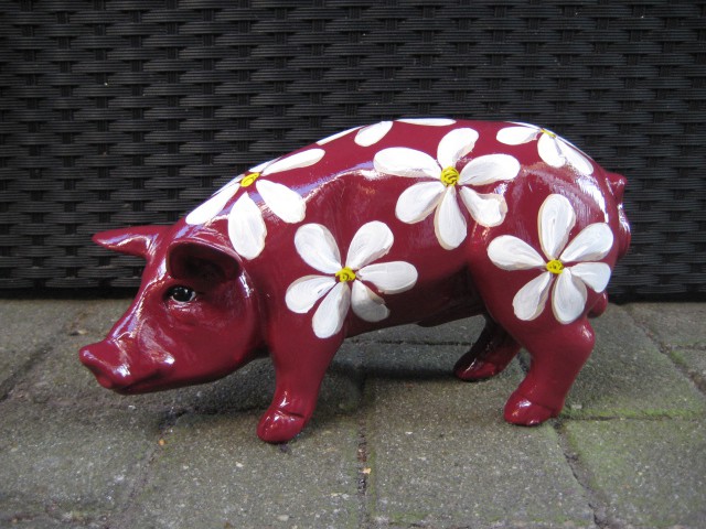 Mini-Schwein_691