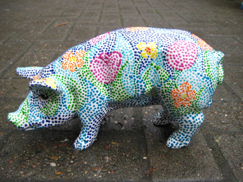 Mini-Schwein_7