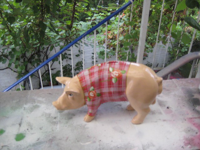 Mini-Schwein_704