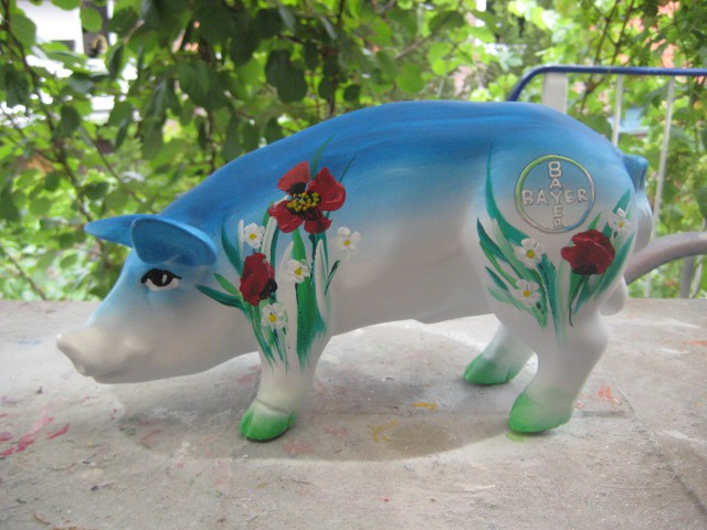Mini-Schwein_720