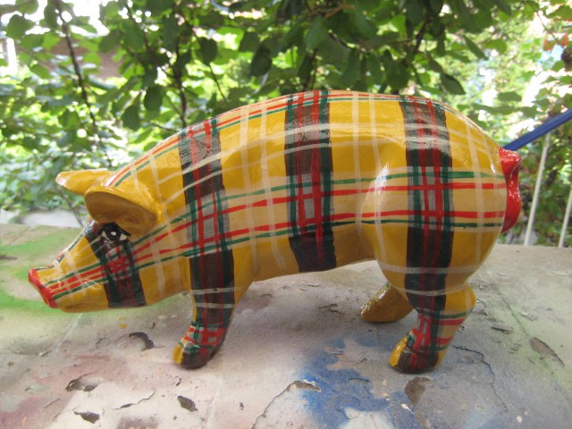Mini-Schwein_723