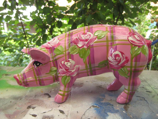 Mini-Schwein_724