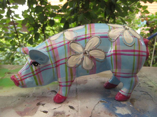 Mini-Schwein_725