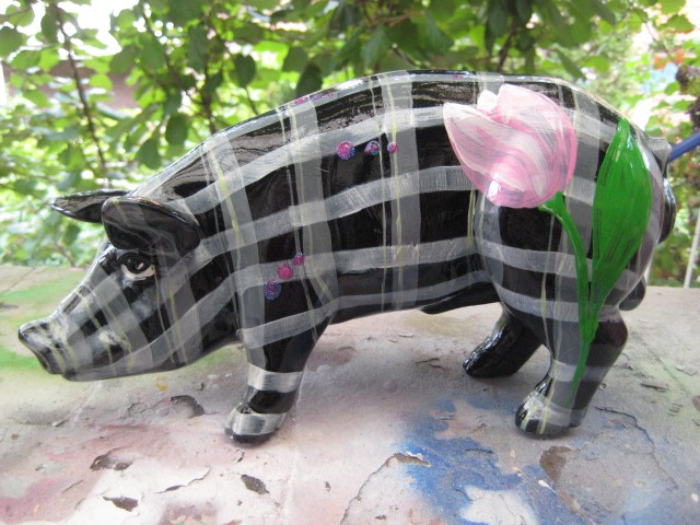Mini-Schwein_726