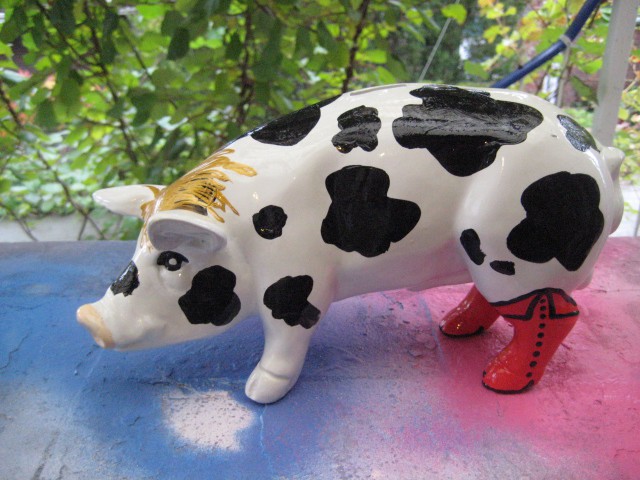 Mini-Schwein_730