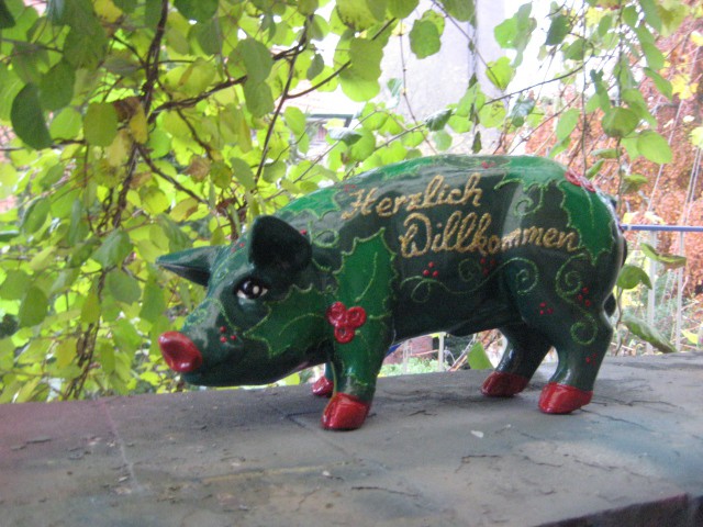 Mini-Schwein_736