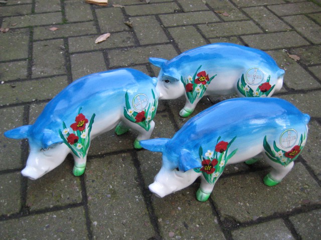 Mini-Schwein_745