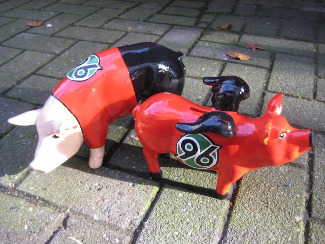 Mini-Schwein_759