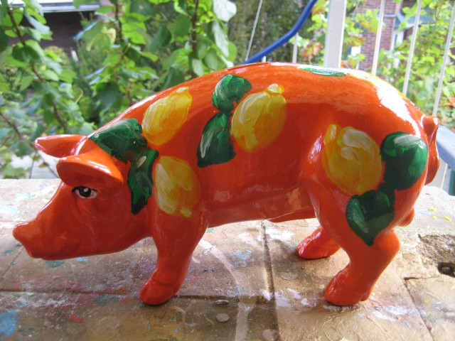 Mini-Schwein_761