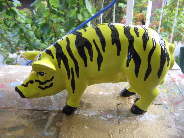 Mini-Schwein_766