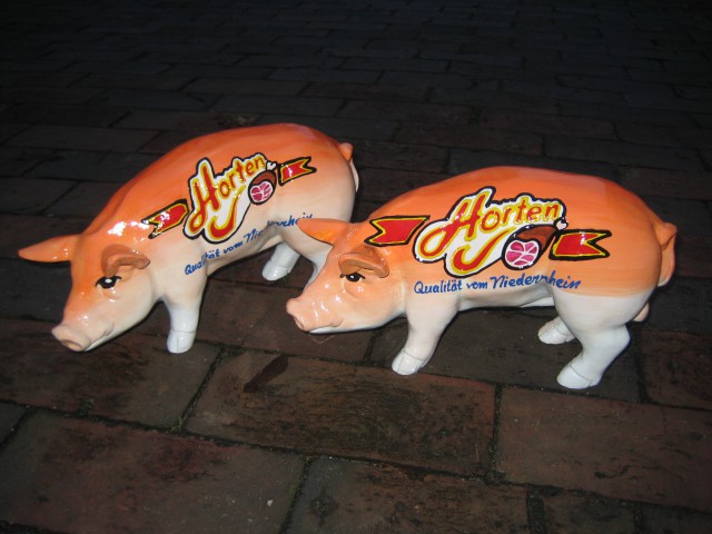 Mini-Schwein_772