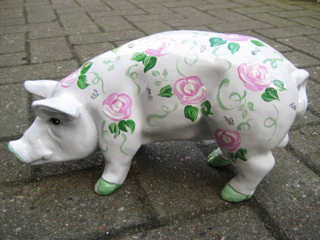 Mini-Schwein_9