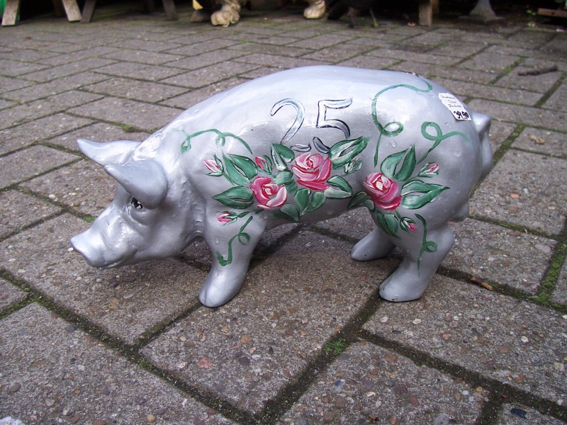 Mini-Schwein_93
