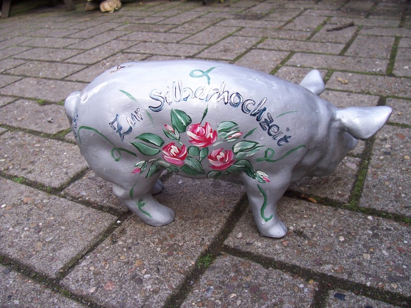 Mini-Schwein_94