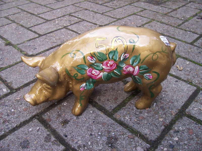 Mini-Schwein_95