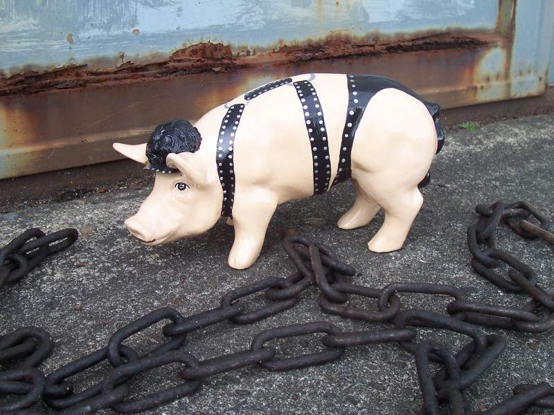 Mini-Schwein_97