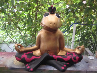 Retro Yoga-Frosch mit schwarzen Socken