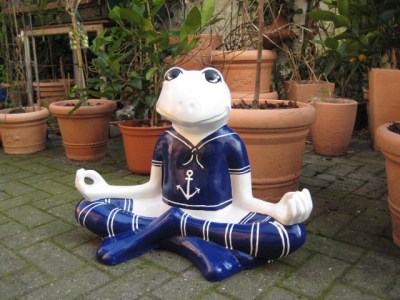 Yoga-Frosch als Matrose