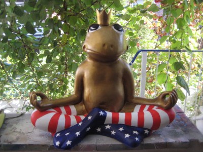 Yoga-Frosch im Ami-Look