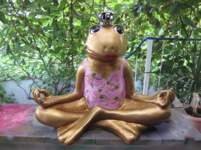 Yoga-Frosch im rosa Dress