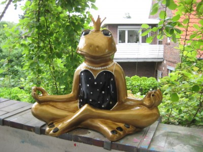 Yoga-Frosch im schwarzen Dress